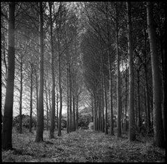 Edition 2/10 - Wickham III, Suffolk, Photographie à la gélatine argentique