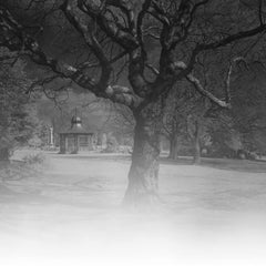 Edition 2/10 - Light Leaks, Weston Park, Sheffield Photograph, 2013