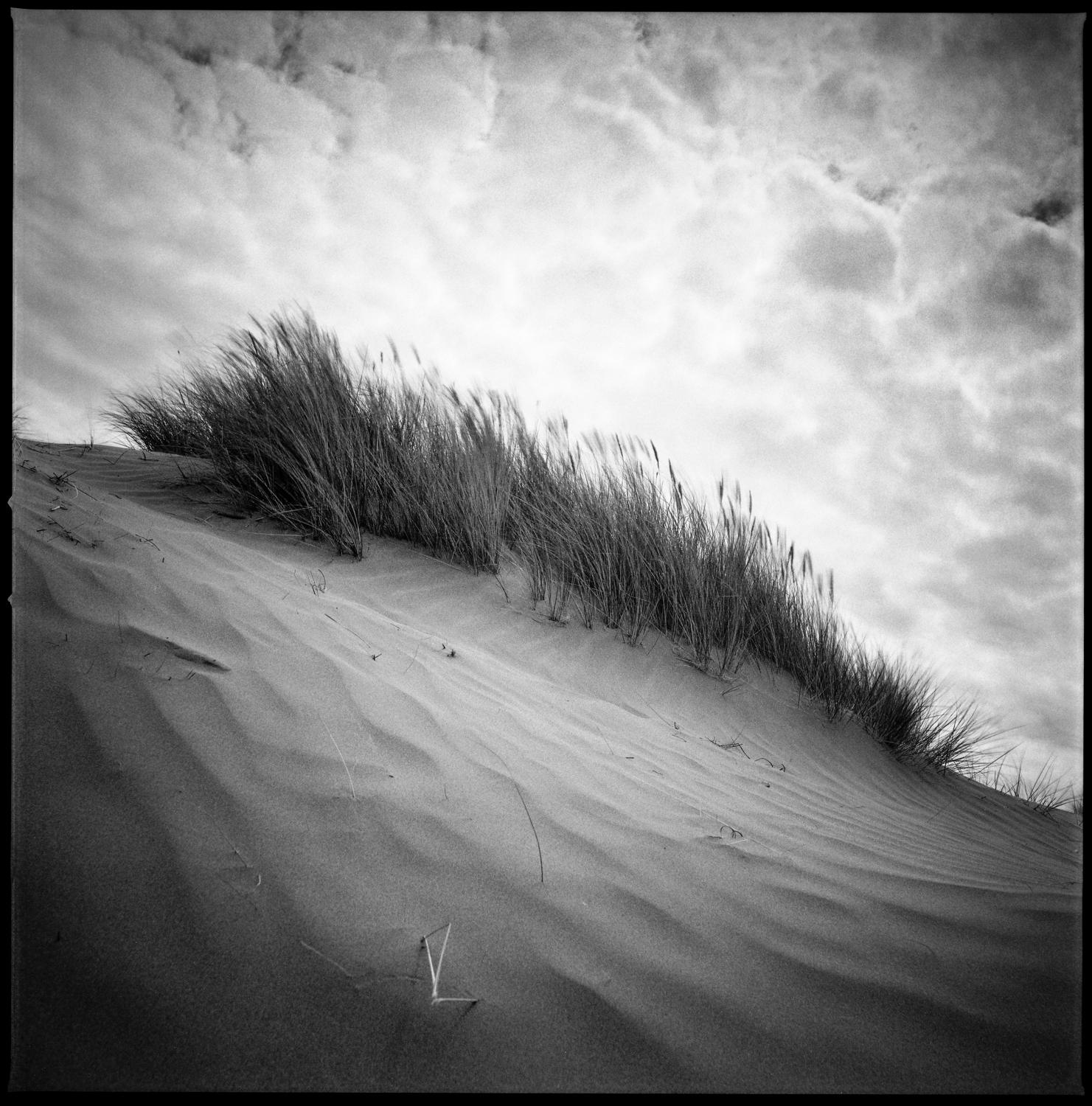 Paul Cooklin Black and White Photograph - Edition 2/10 - Sand Dune I, North Devon, Silver Gelatin Photograph