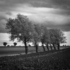 Edition 2/10 - Walsham Le Willows, Suffolk Photograph, 2009