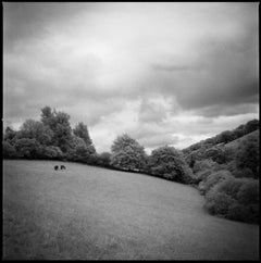 Edition 2/10 - Woodland, Tarr Steps, Exmoor [Infrared Film] Photograph, 2011