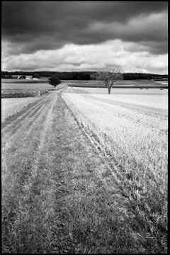 Edition 3/10 - Couziers, Loire-Tal, Frankreich, Silber-Gelatinefotografie