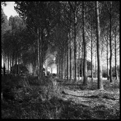 Edition 3/10 - Wickham Skeith, Suffolk Photograph, 2009