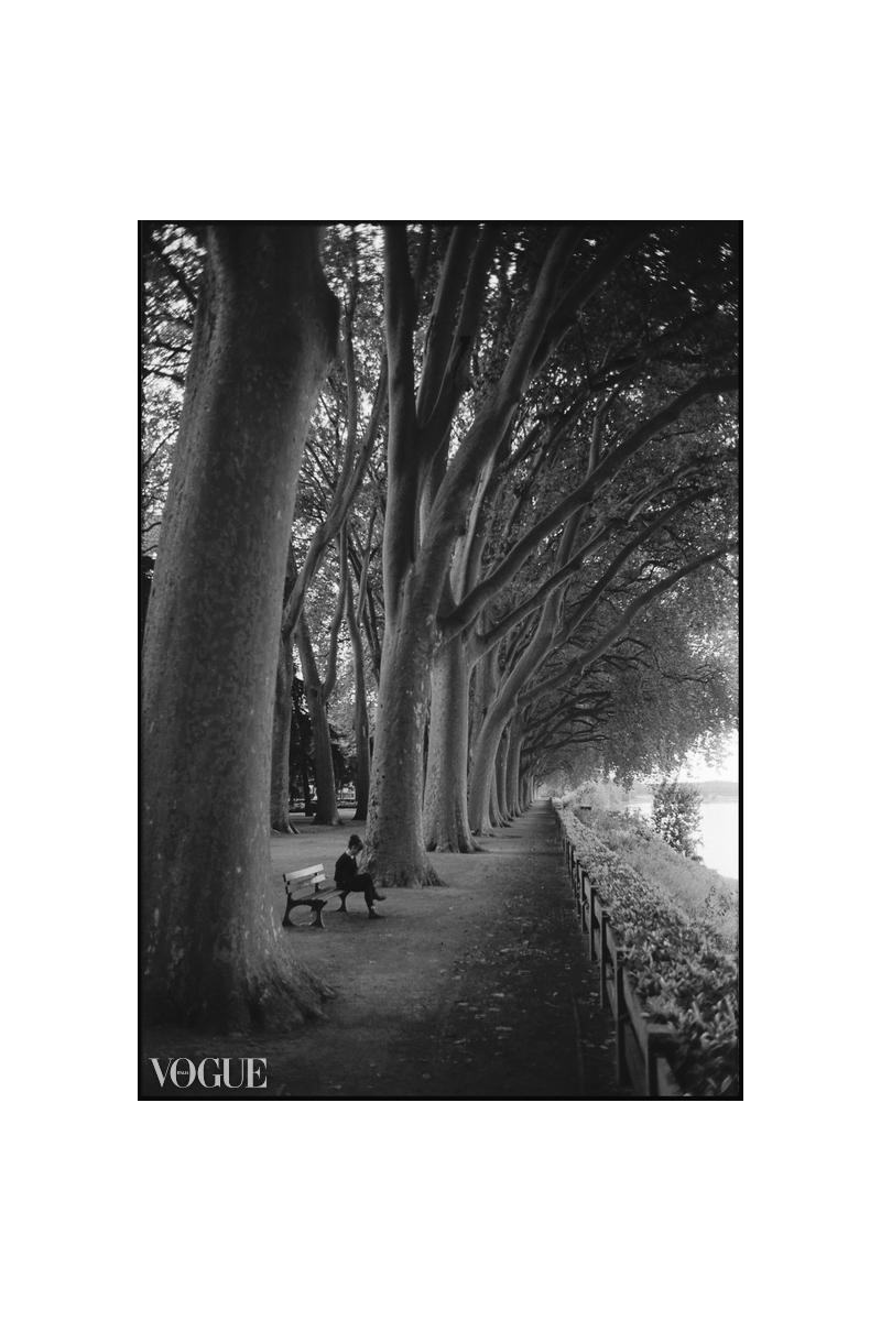 Edition 5/10 - Treeline, Chinon, France - Photograph by Paul Cooklin
