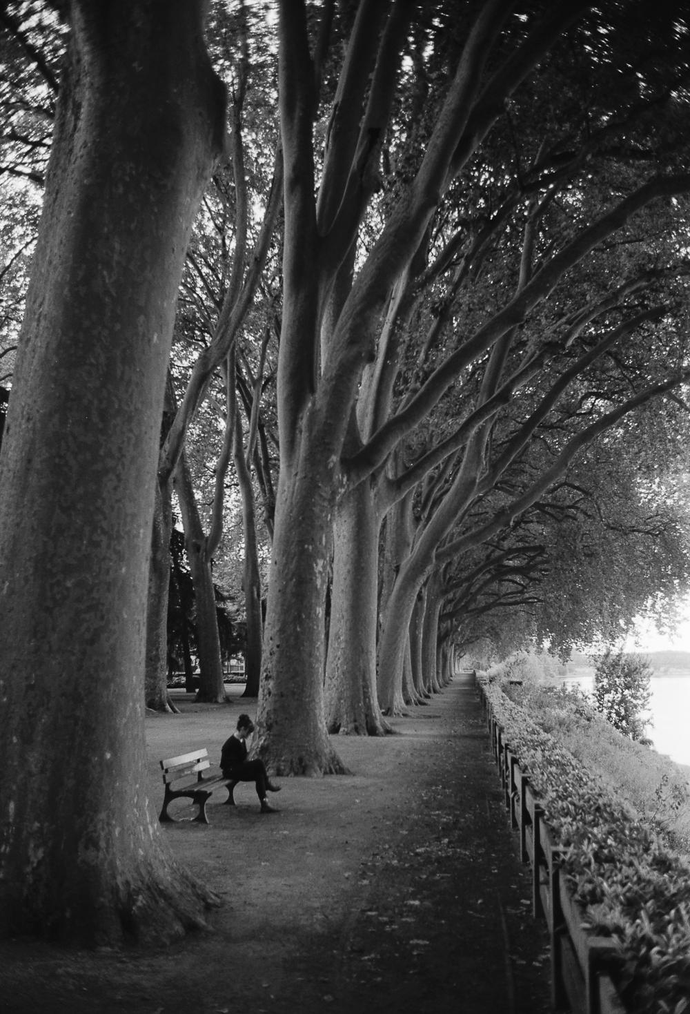 Edition 5/10 - Treeline, Chinon, France, Silver Gelatin Photograph