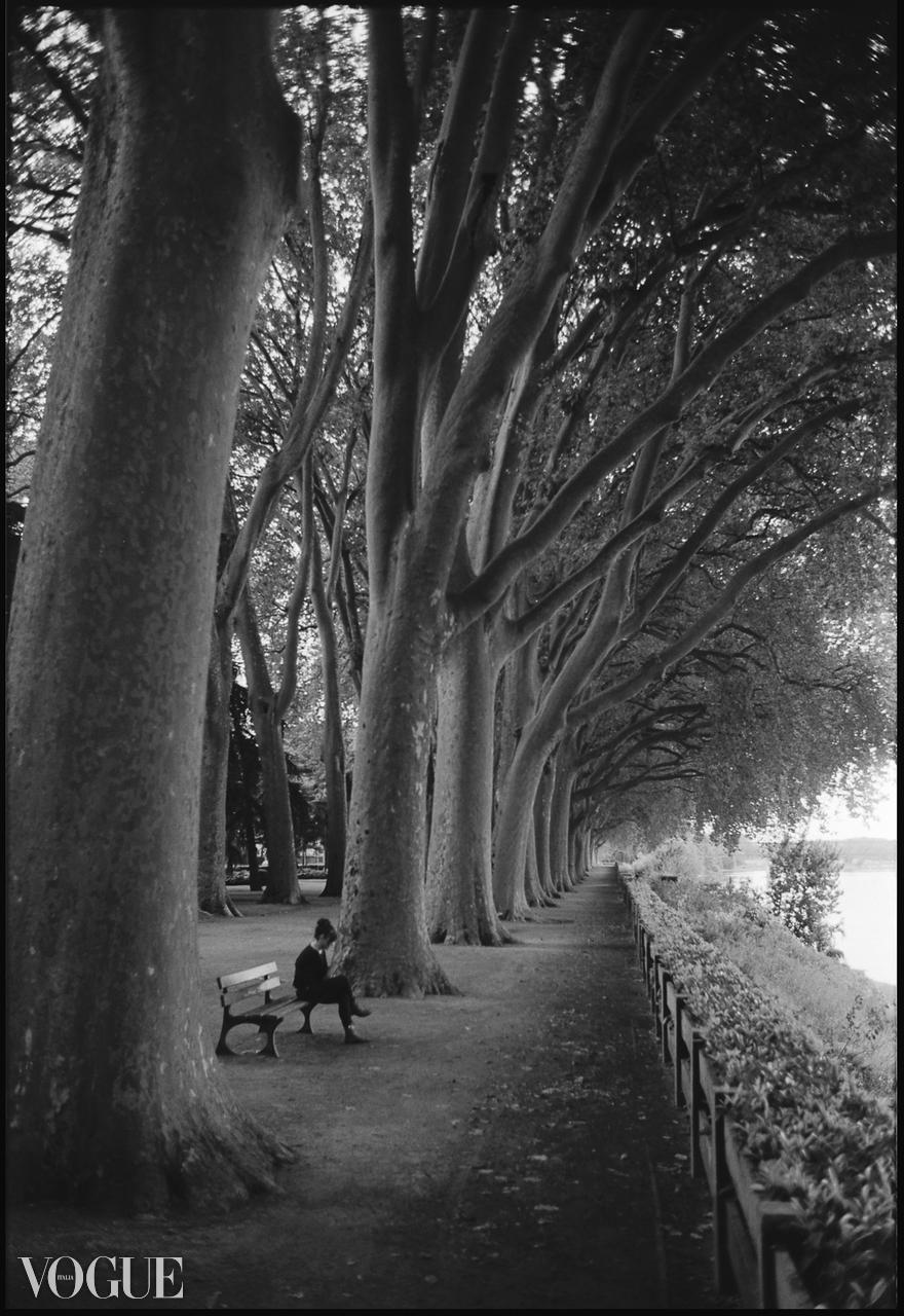 Paul Cooklin Landscape Photograph - Edition 5/10 - Treeline, Chinon, France, Silver Gelatin Photograph