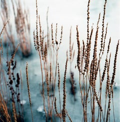 Debenham Lake, Suffolk Print, 2011