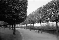 Fougeres, France Print