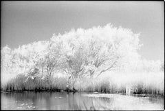 Lago, Brughiera di Dunwich (Pellicola a infrarossi) Stampa