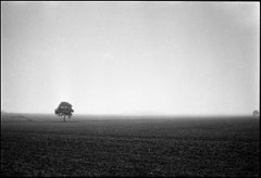 Mickfield, Eye, II Print