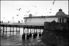 Seagulls, Cromer Pier, North Norfolk Print