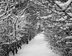 Snowy Path, Suffolk Print, 2012