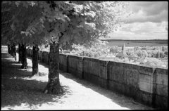 Treeline, Ardennes, France Print