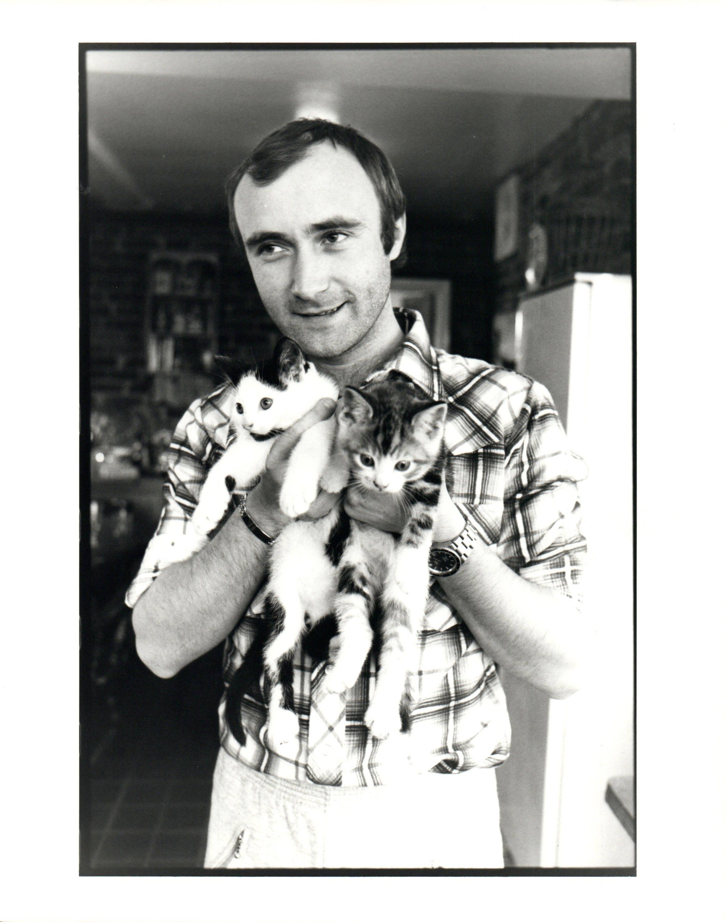 Paul Cox Portrait Photograph - Phil Collins Holding Kittens Vintage Original Photograph