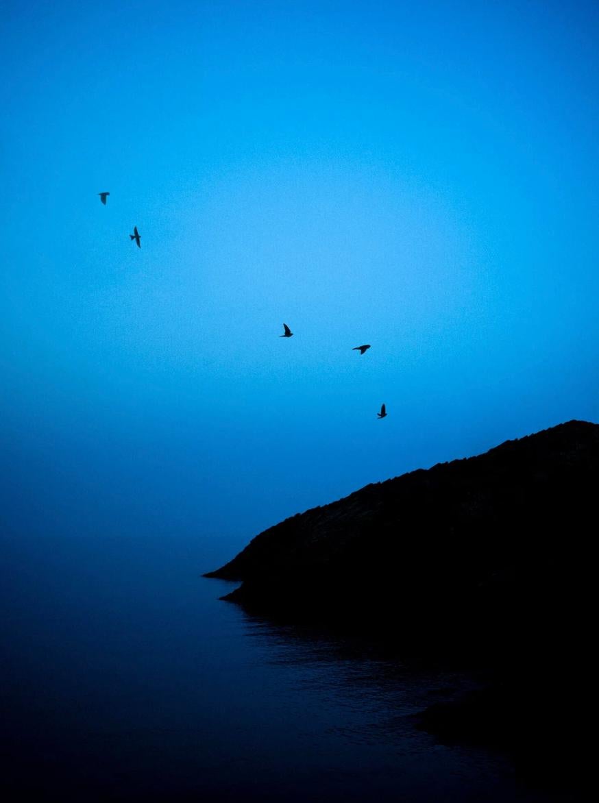 Paul Cupido  Color Photograph – Azul, 2023