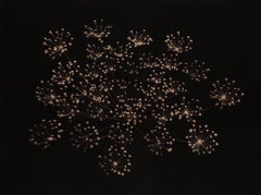 Hanabi