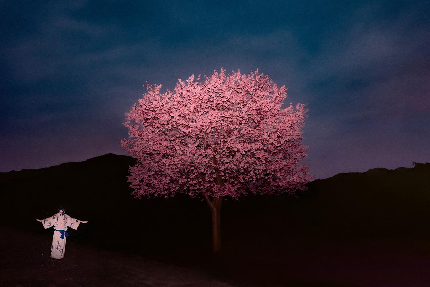 Color Photograph di Paul Cupido  - Albero rosa, 2023
