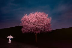 Pink Tree, 2023