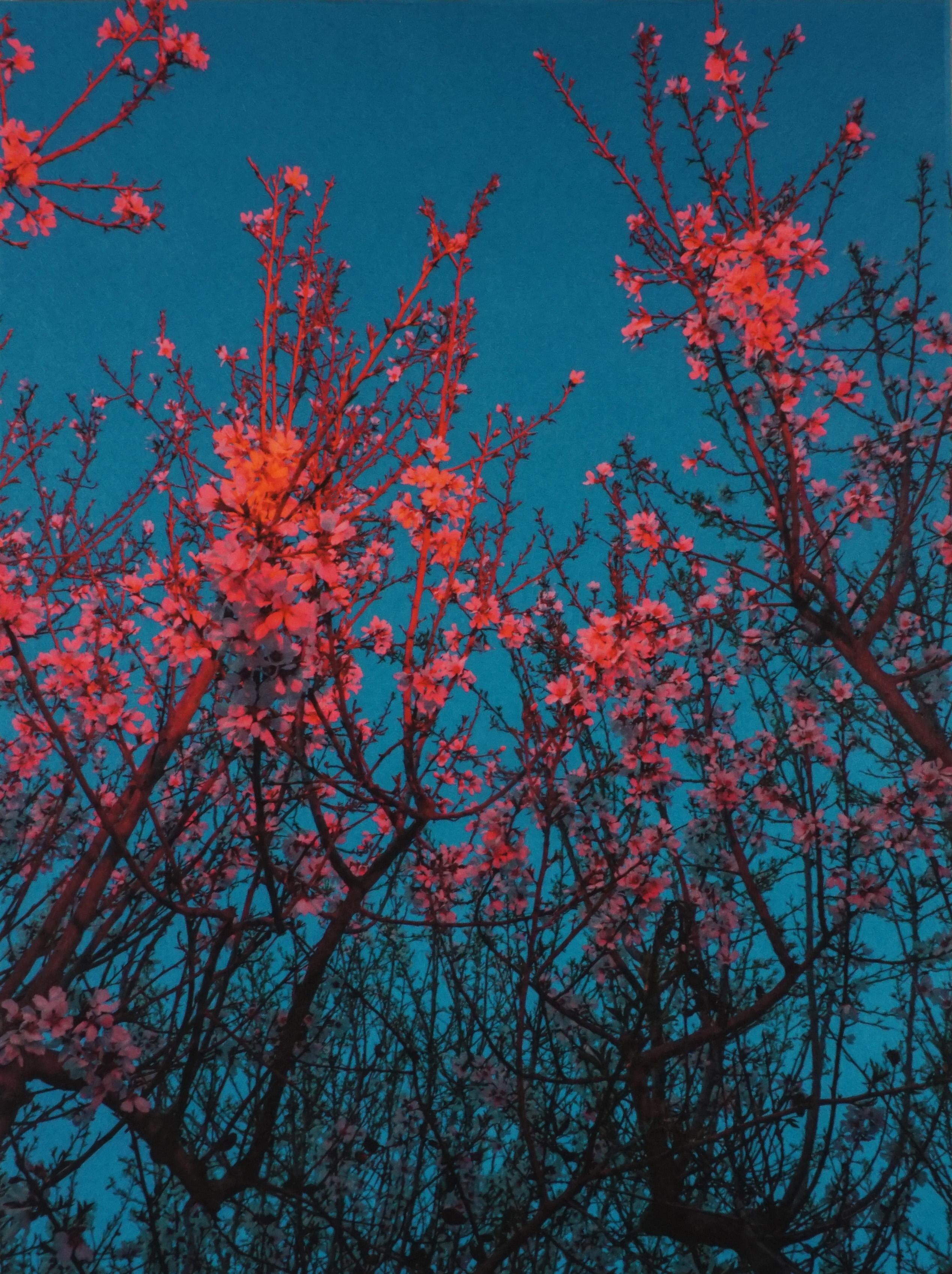 Color Photograph di Paul Cupido  - Primi sintomi