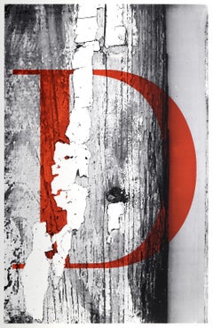 The Letter D, Pop Art Screenprint by Paul Davis