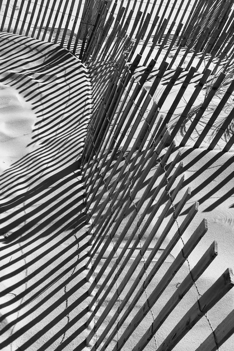 Líneas y sombras