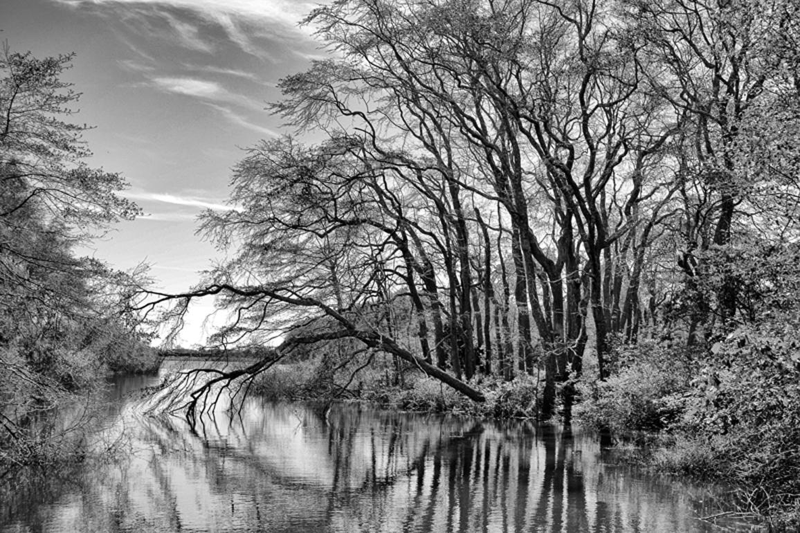 Pantano de Sagg