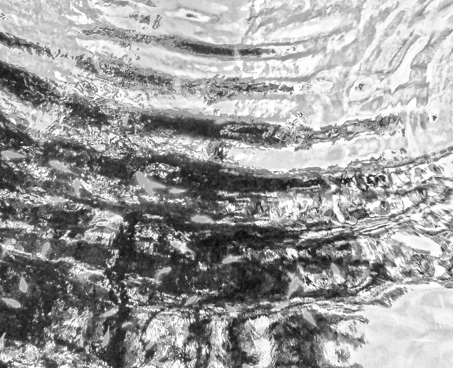 Ripple Effect l - Photograph by Paul Dempsey