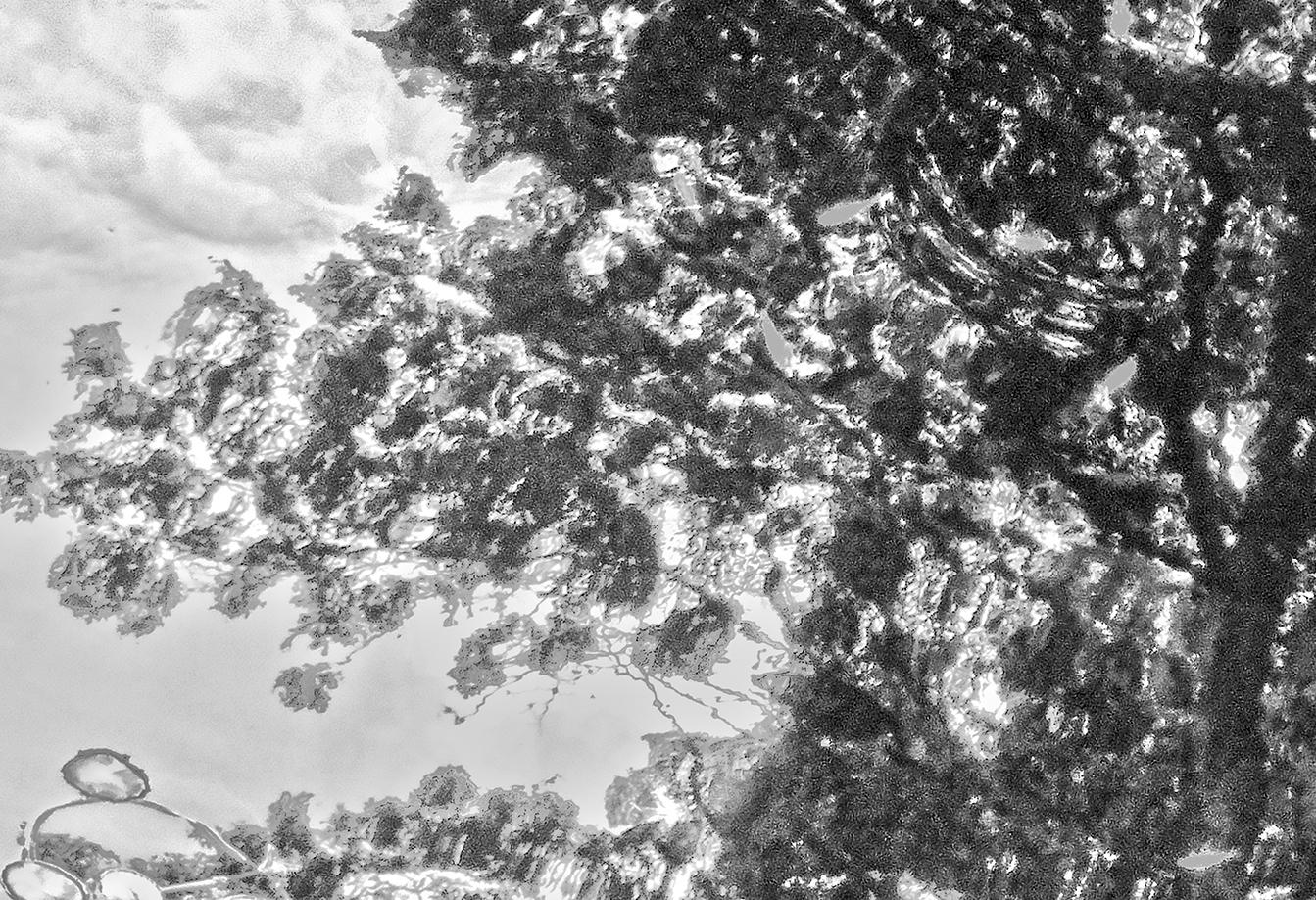 Ripple Effect l - Gray Abstract Photograph by Paul Dempsey