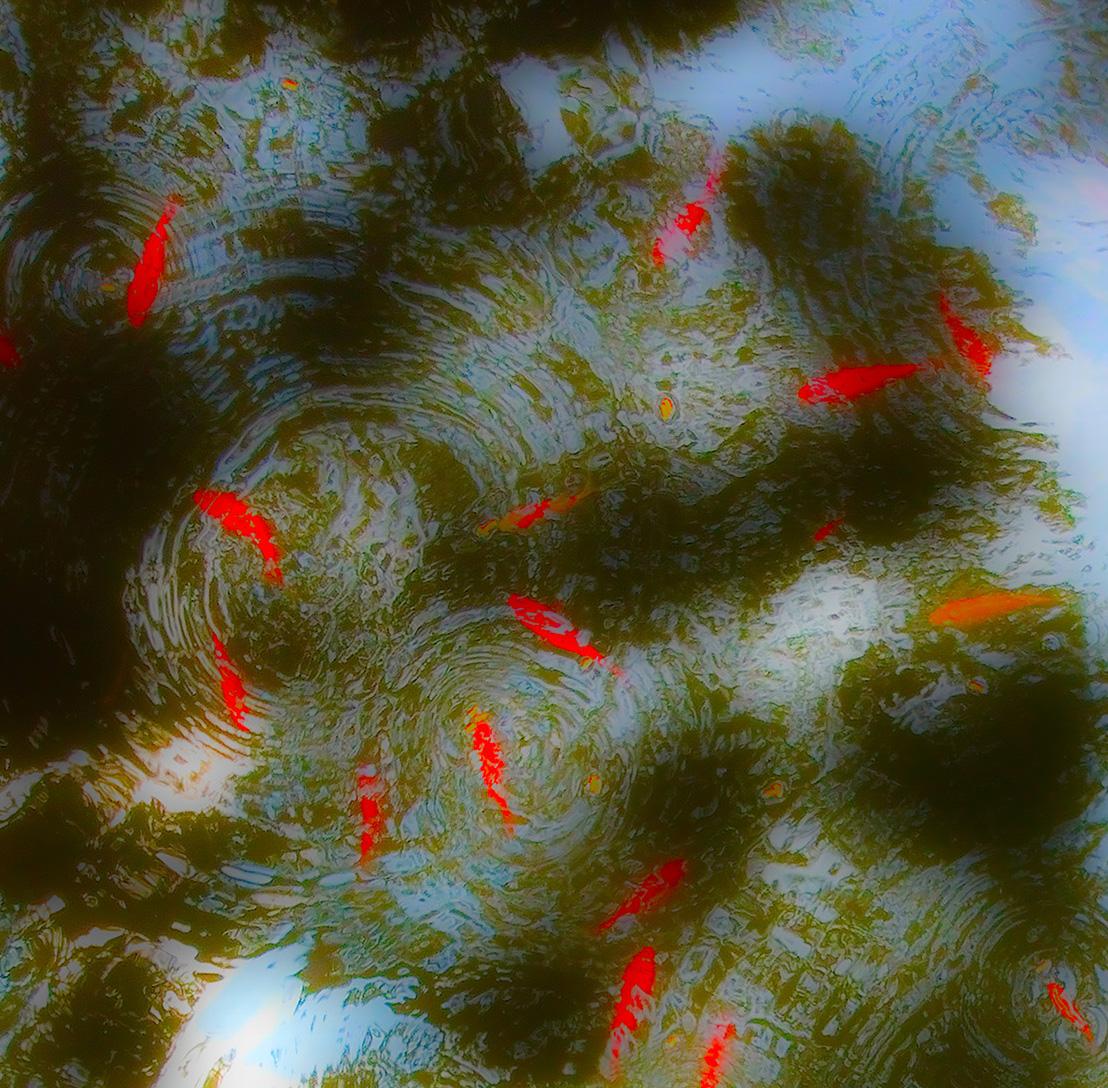 Efecto dominó IIl

Medio: Fotografía (impresa sobre metal)
Tamaño: 30