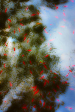 Ripple Effect lll