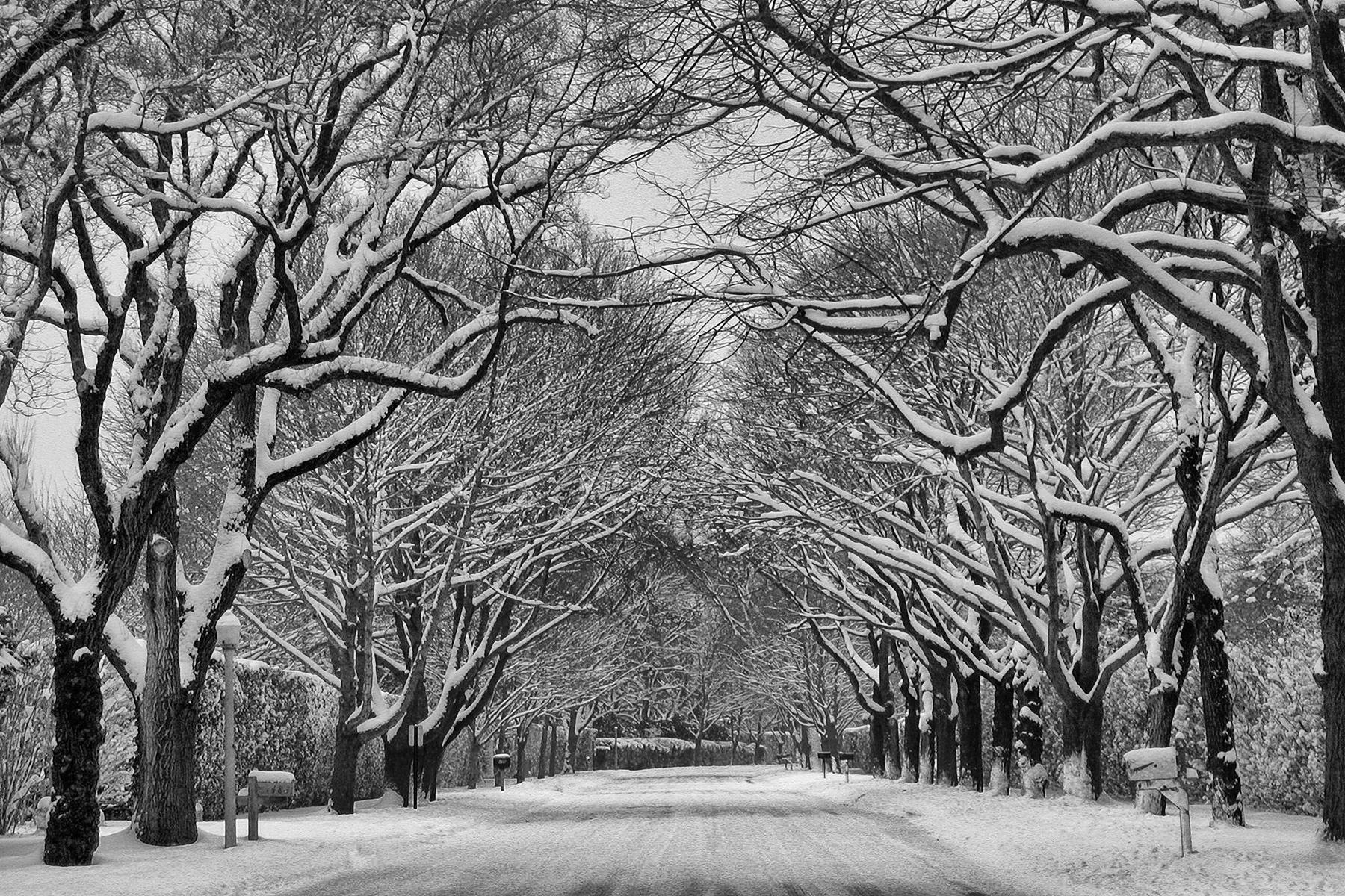 Paul Dempsey Black and White Photograph - The Face Of Winter