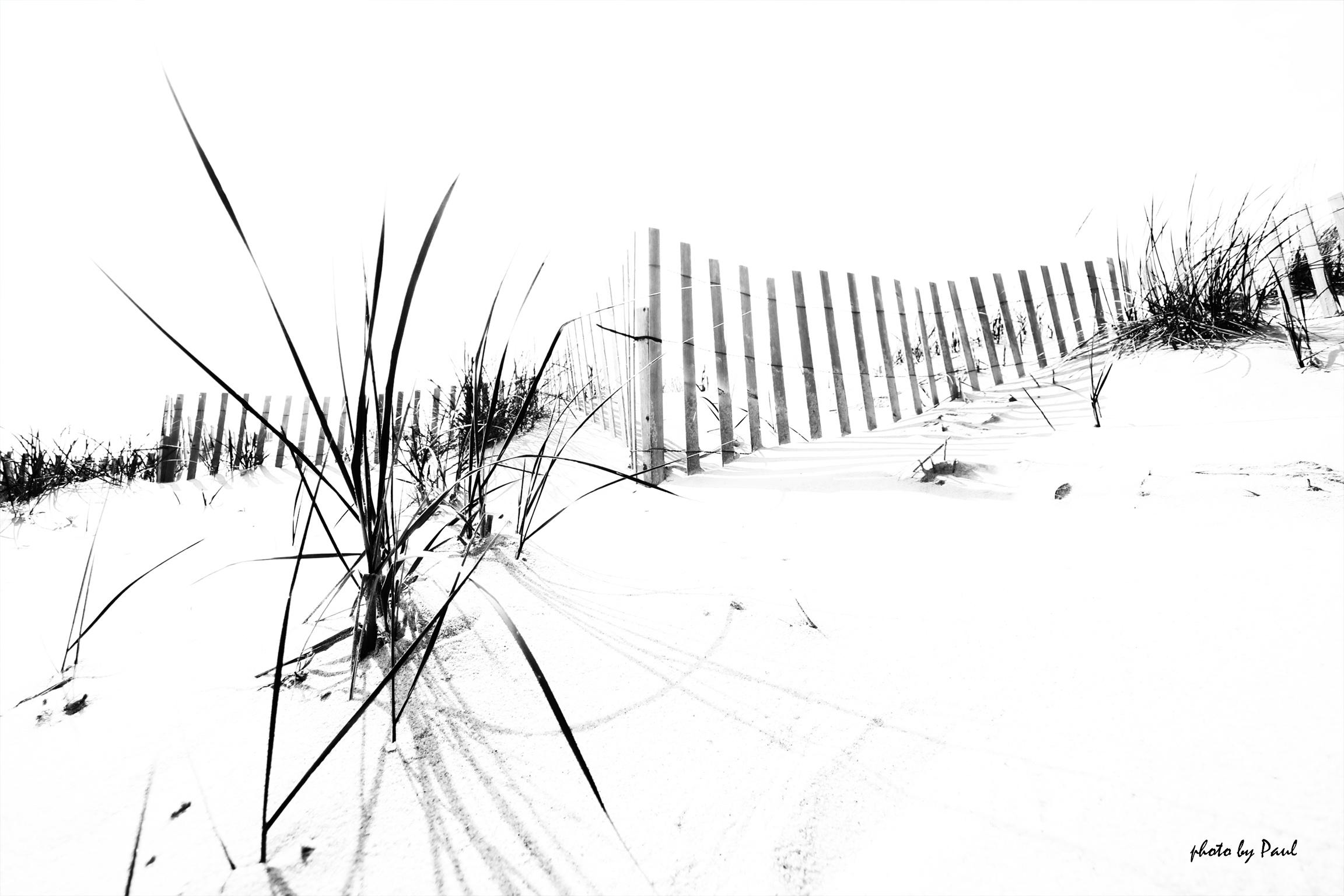 Winter Beach Fence ll - Art by Paul Dempsey