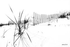 Fence de plage d'hiver ll