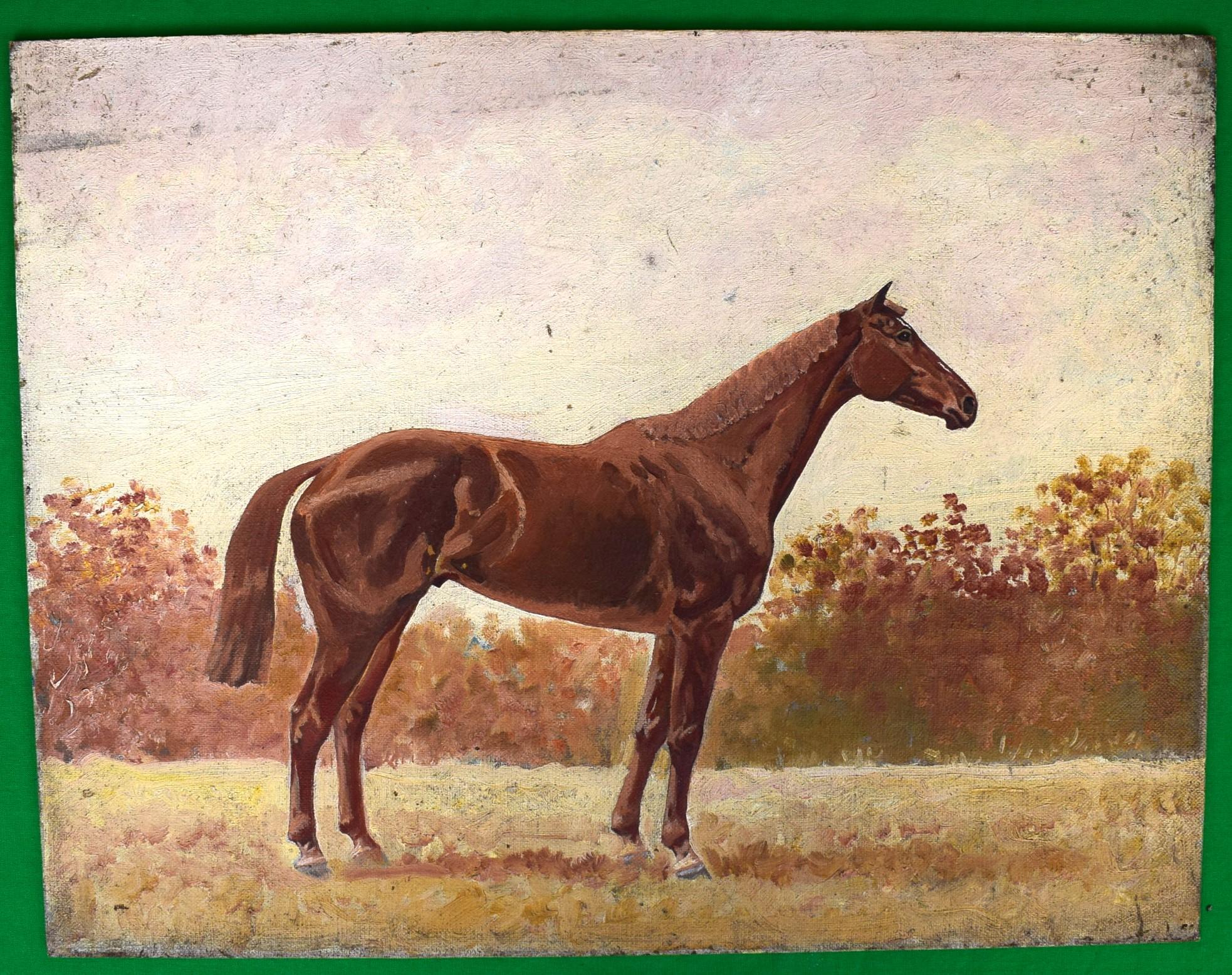 Chestnut Horse Oil on Board by Paul Brown - Painting by Paul Desmond Brown