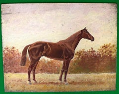 Chestnut Horse Oil on Board by Paul Brown