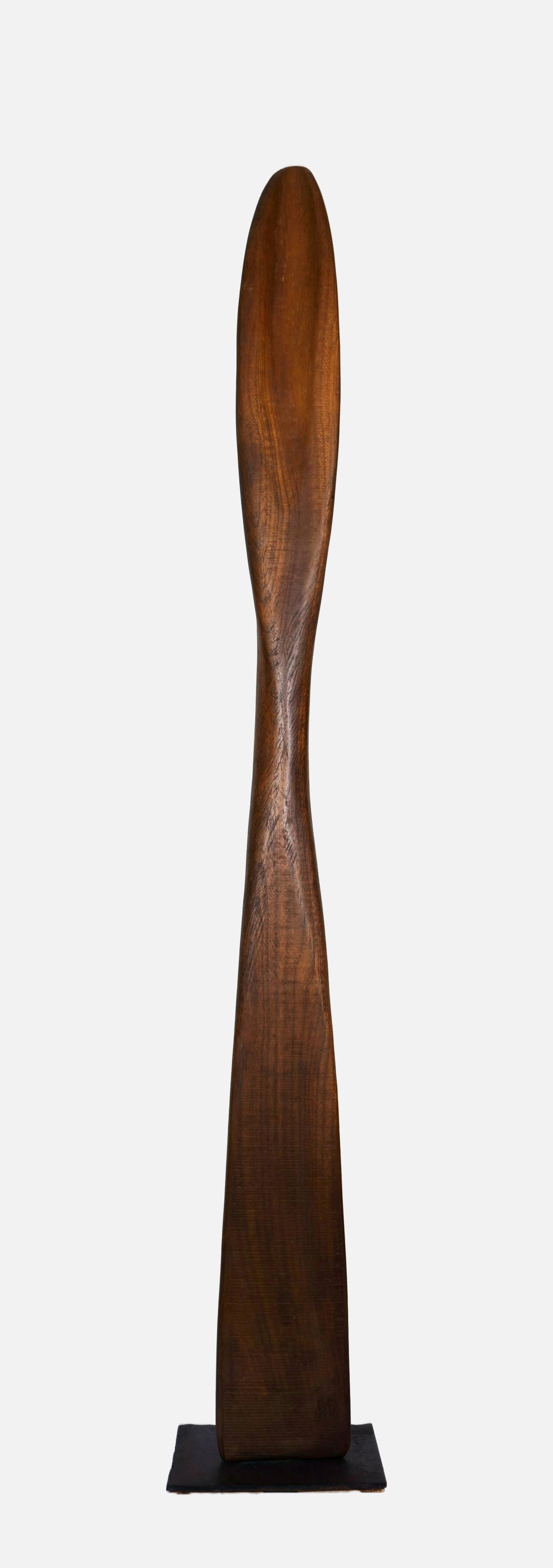 Forma Vegetativa / - Arte Cultivado - - Abstract Sculpture Marrón de Paul Dierkes