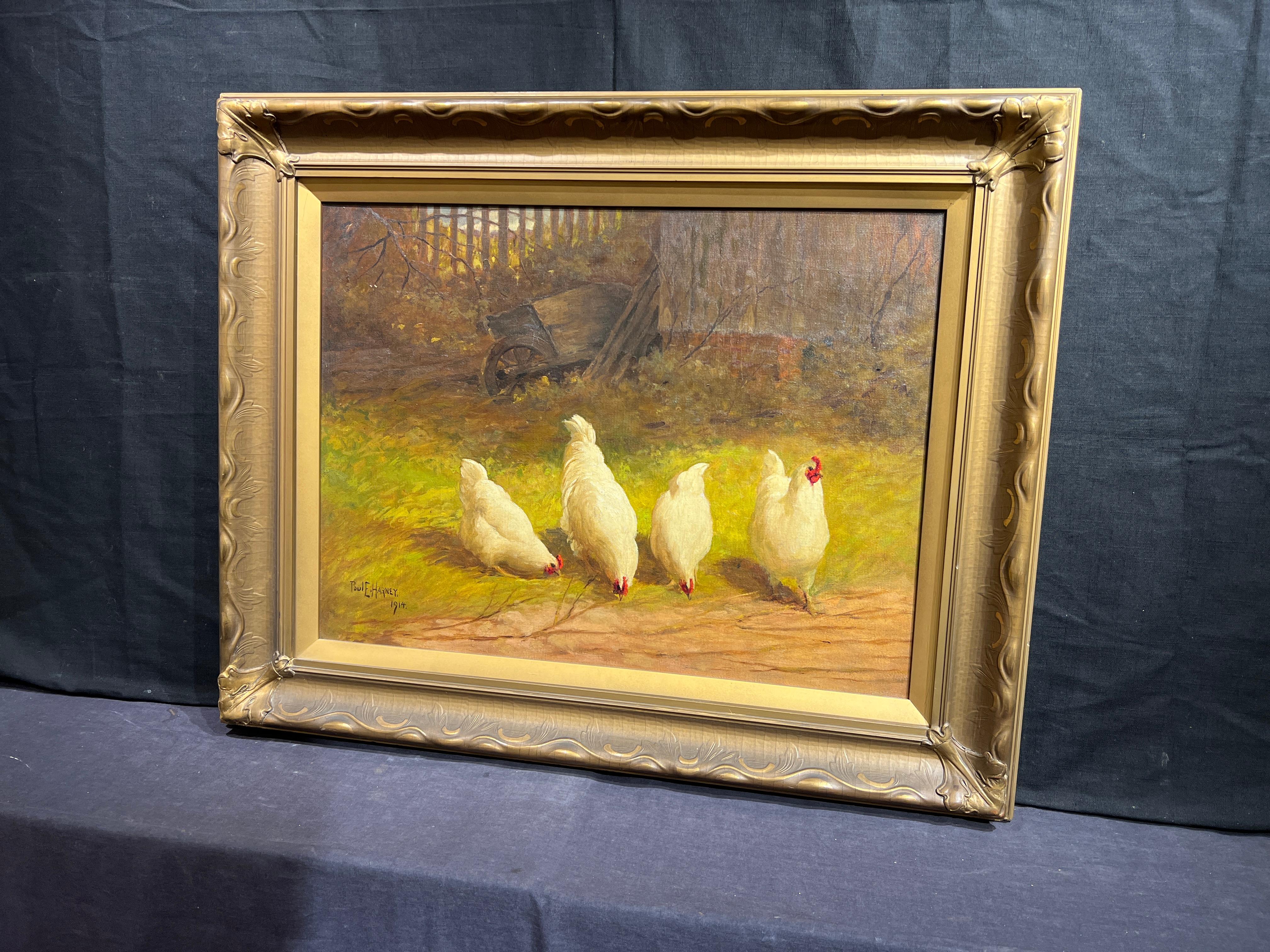 Four White Hens For Sale 1