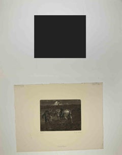 Le Cheval Blanc - Acquaforte di Paul Emile Colin - Inizio XX secolo