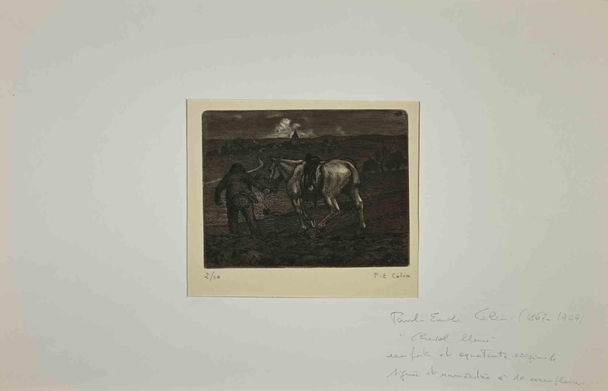Le Cheval Blanc is an artwok realized in early-20th century, by the French Artist Paul Emile Colin .

Black and white etching on paper. Hand Signed on the right corner. Limited edition of 50, ex. n. 2 

The artwork is attached on passepartout: