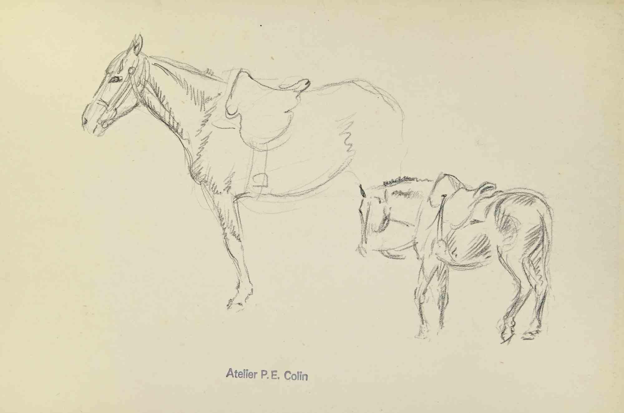Horses is a drawing realized by Paul Emile Colin in the mid 20th Century.

Carbon Pencil on ivory-colored paper

Stamped on the lower.

Good conditions.

The artwork is realized through deft expressive strokes.