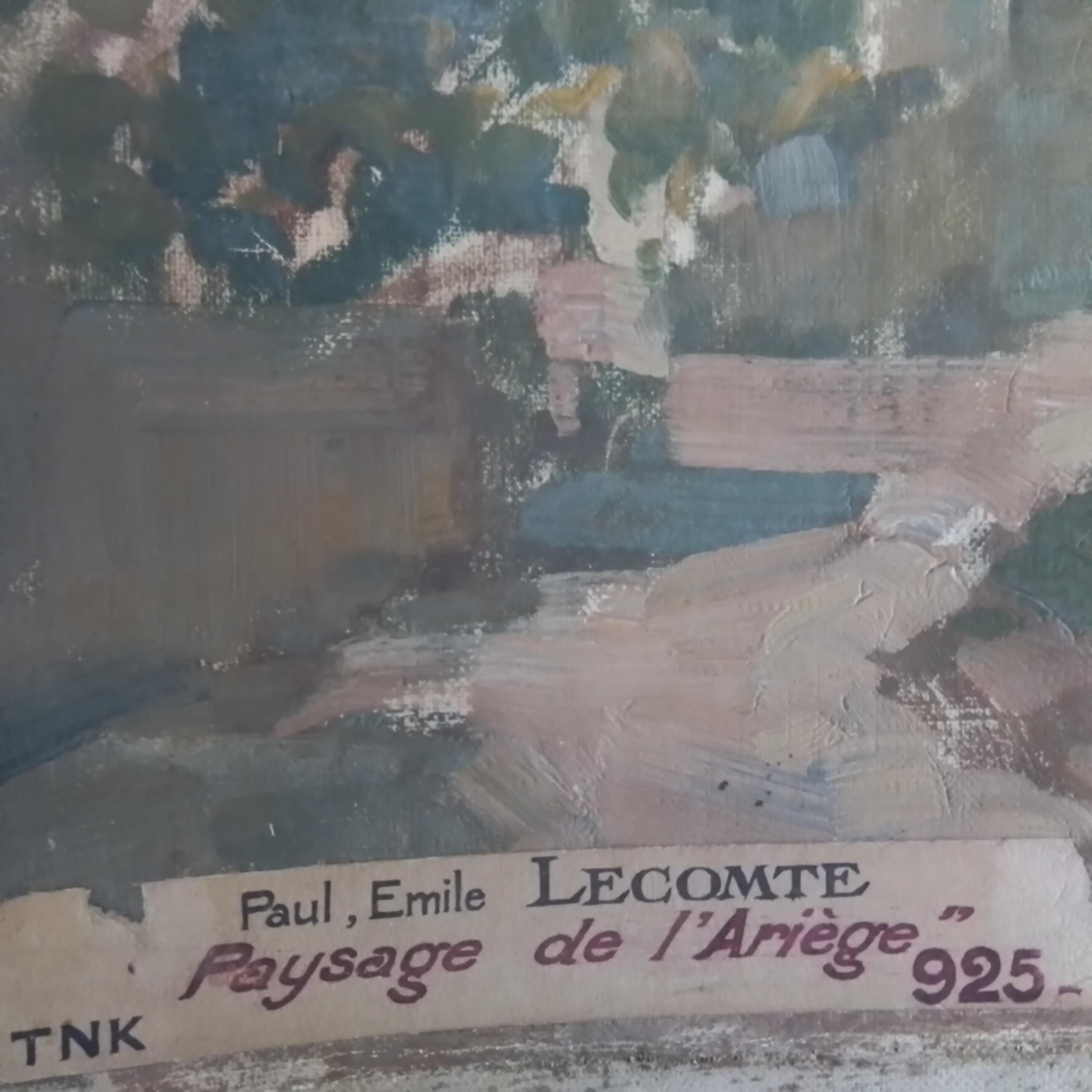 Quadro d'arte francese d'epoca di Paul Emile Lecomte - Olio su tela, firmato in vendita 6
