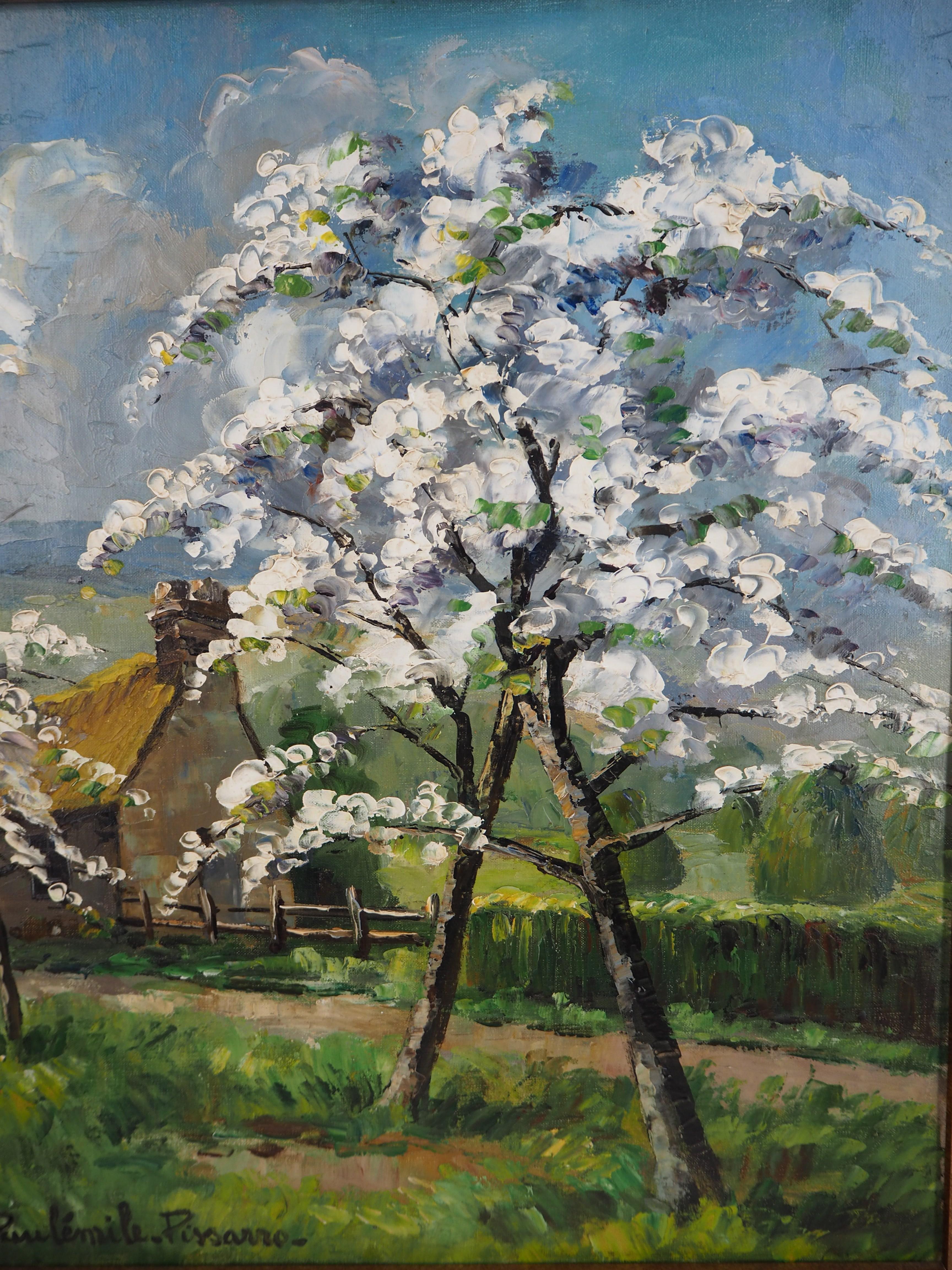 Normandy : Apple Trees in Blossom - Original oil on canvas, Handsigned - Brown Landscape Painting by Paul Emile Pissarro