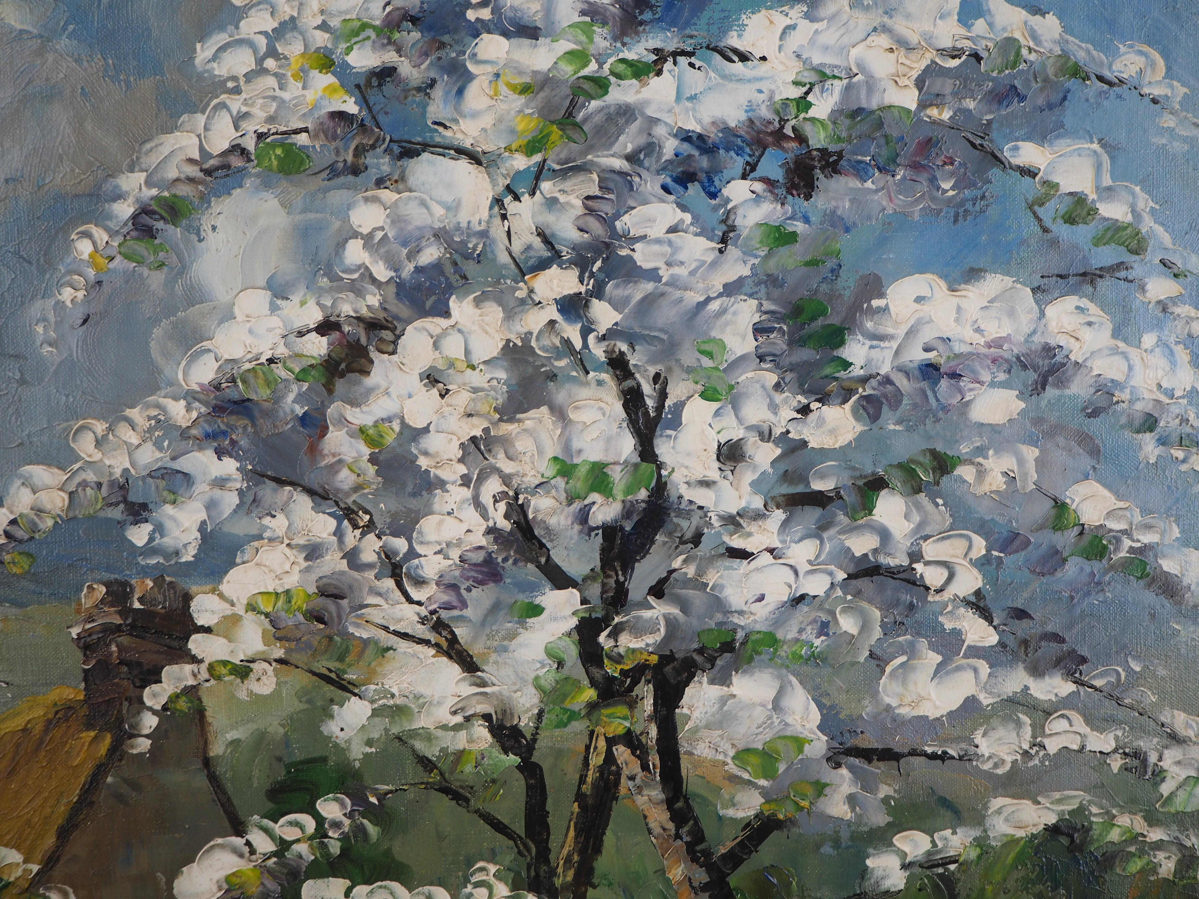 Normandy : Apple Trees in Blossom - Original oil on canvas, Handsigned 1