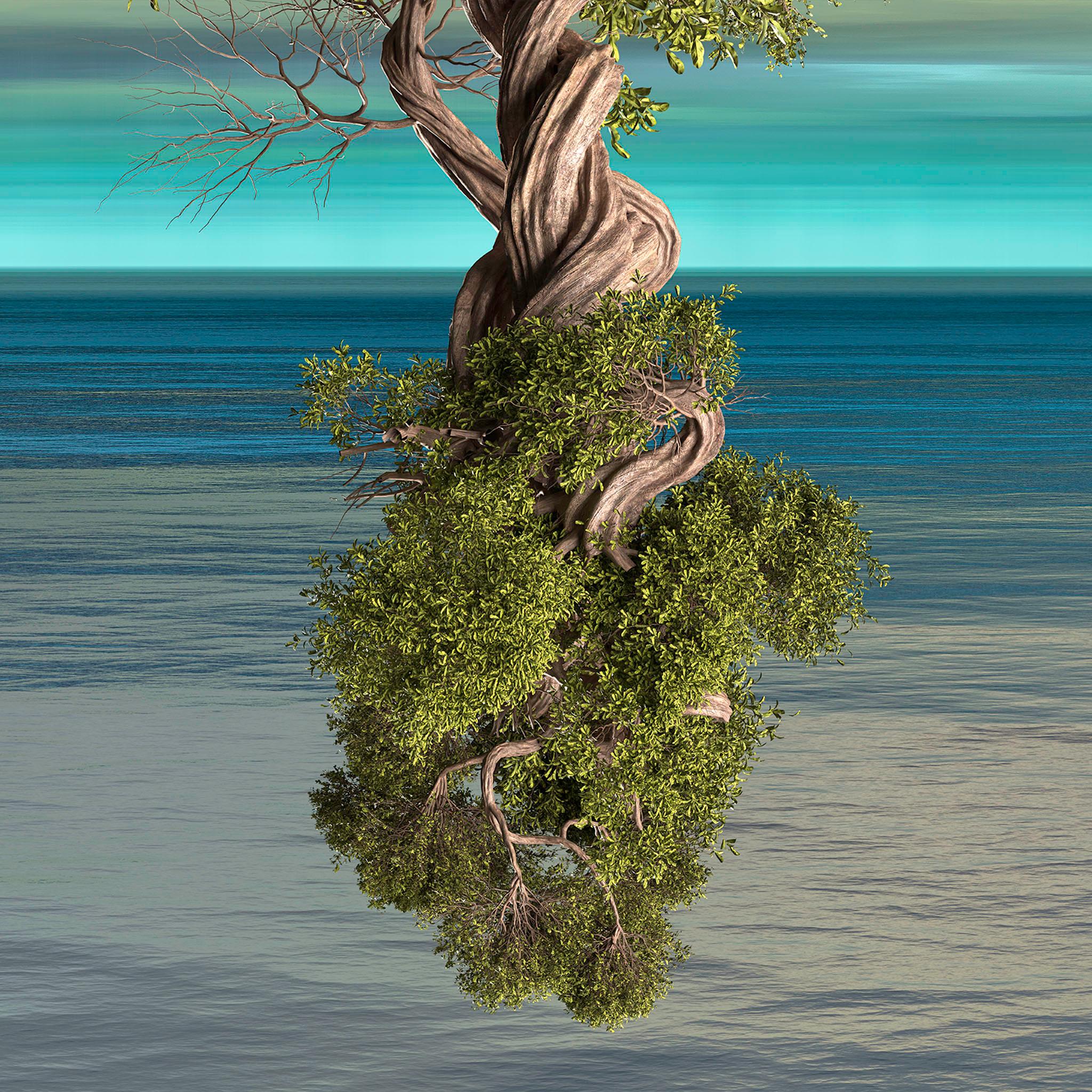 Arbore-6 - Photograph by Paul-Émile Rioux