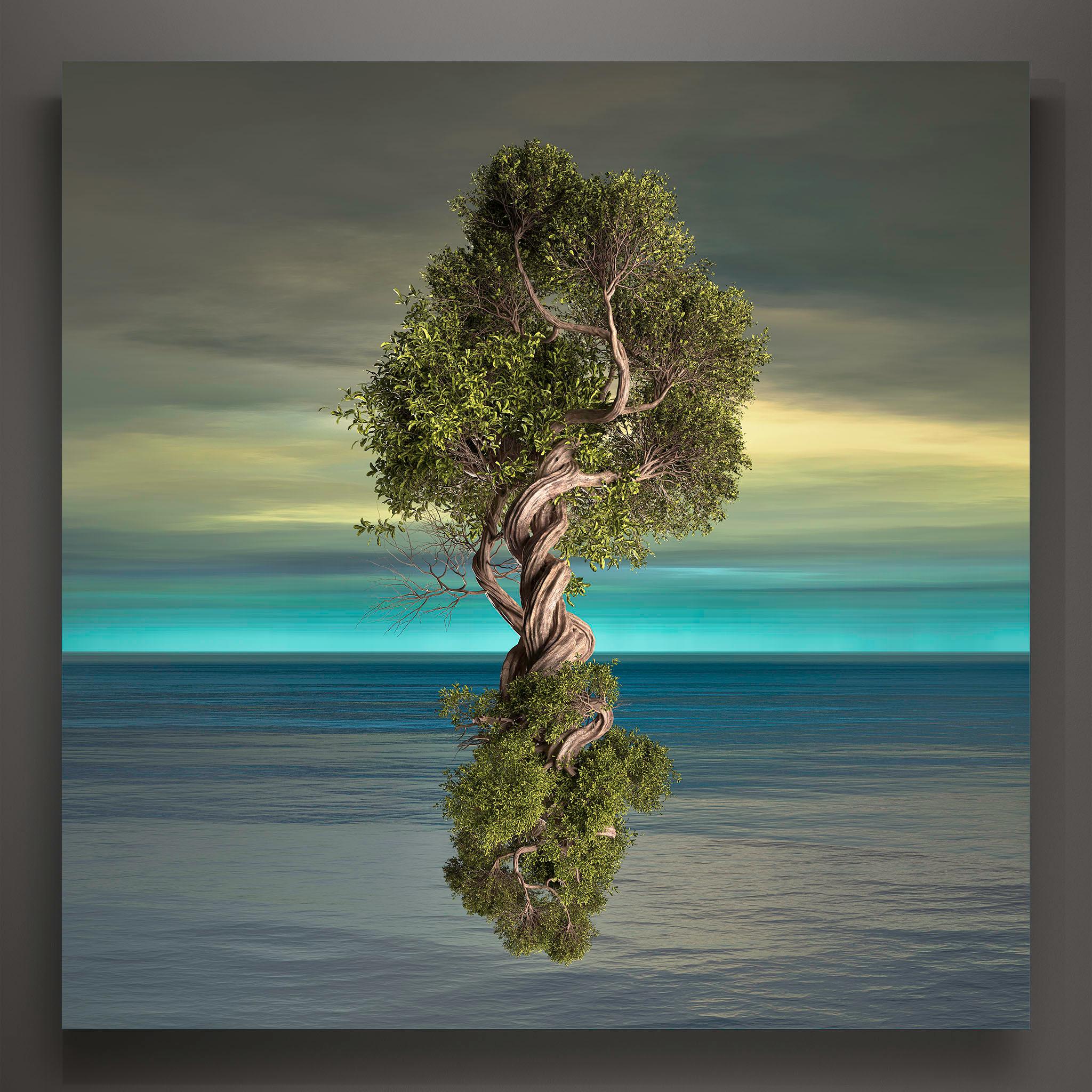 Arbore-6 - Contemporary Photograph by Paul-Émile Rioux