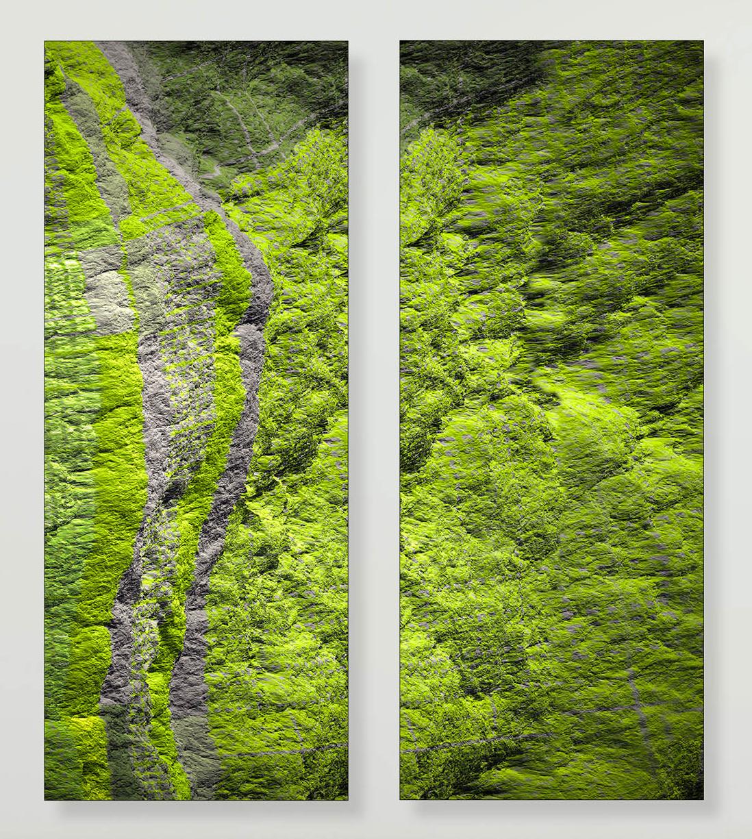 Diptych - Digital Clift - Green Forest Aerial View - Photograph by Paul-Émile Rioux