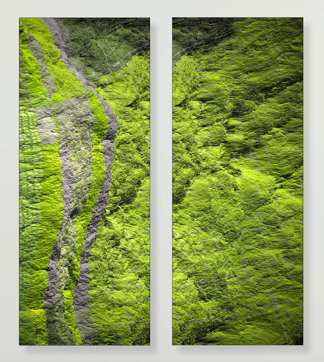Dittico - Digital Clift - Vista aerea della foresta verde - Photograph di Paul-Émile Rioux