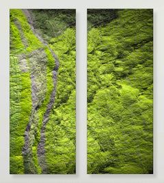 Diptych - Digital Clift - Green Forest Aerial View