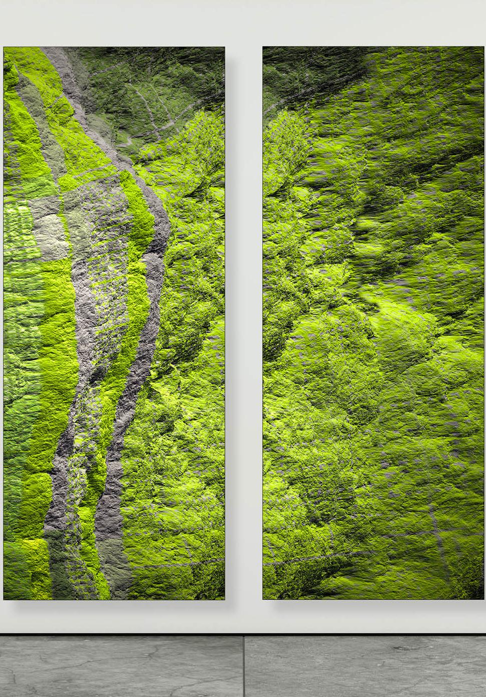 Diptych - Digital Clift - Green Forest Aerial View - Contemporary Photograph by Paul-Émile Rioux