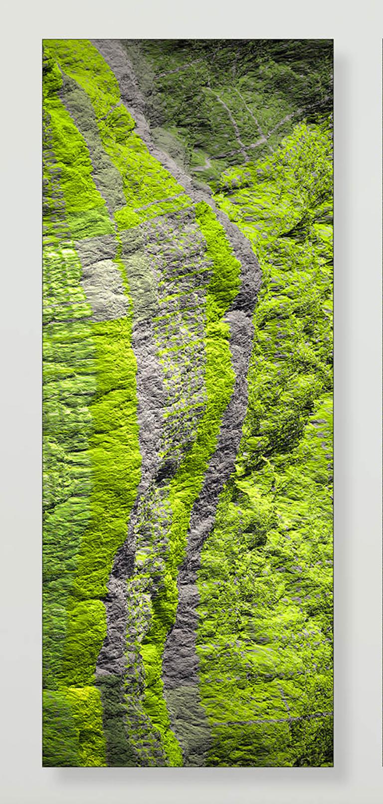 Diptych - Digital Clift - Green Forest Aerial View - Beige Color Photograph by Paul-Émile Rioux